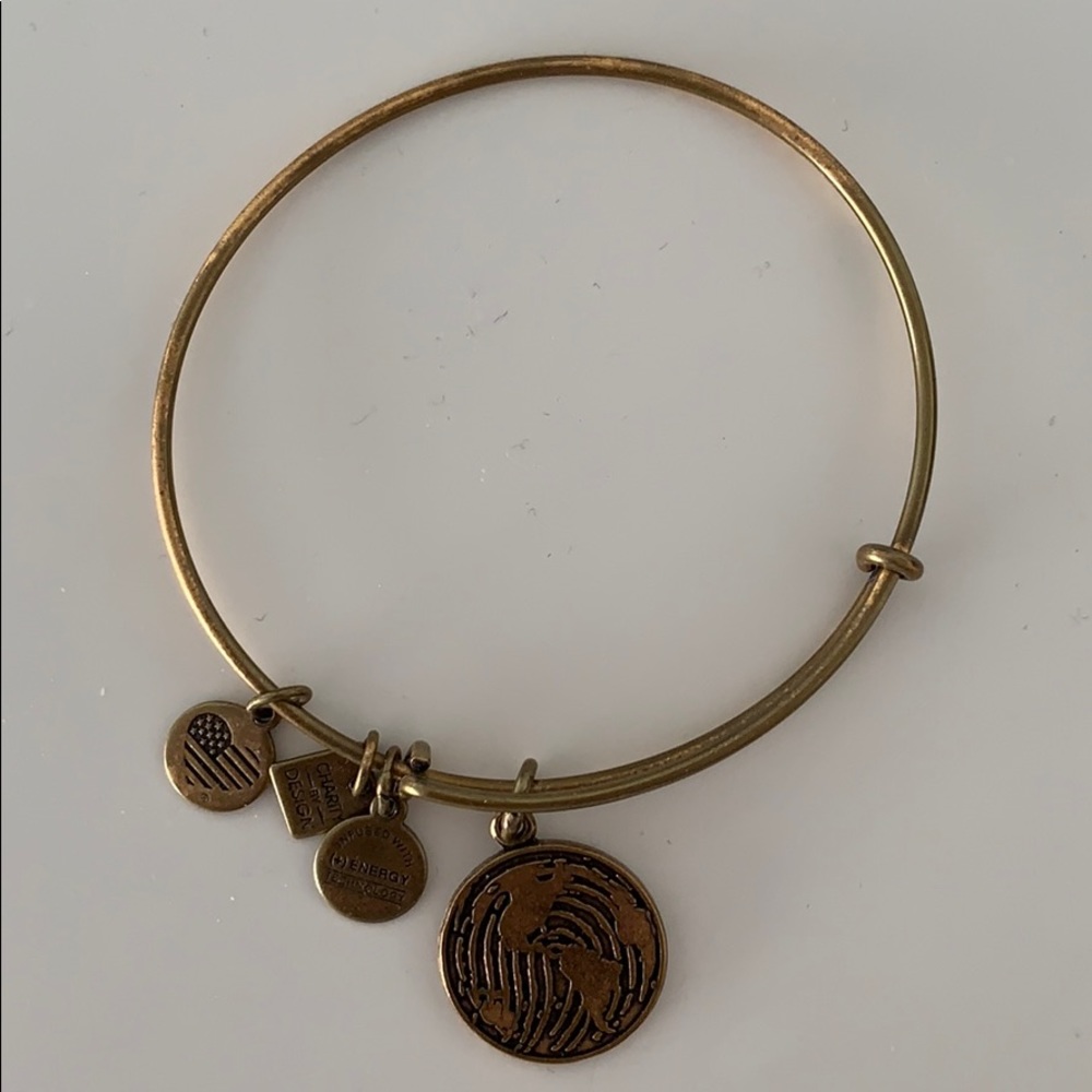 Alex and Ani World braclet